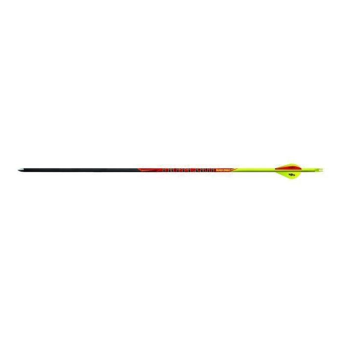 Black Eagle Carbonpfeil Outlaw Vanes mit Cresting