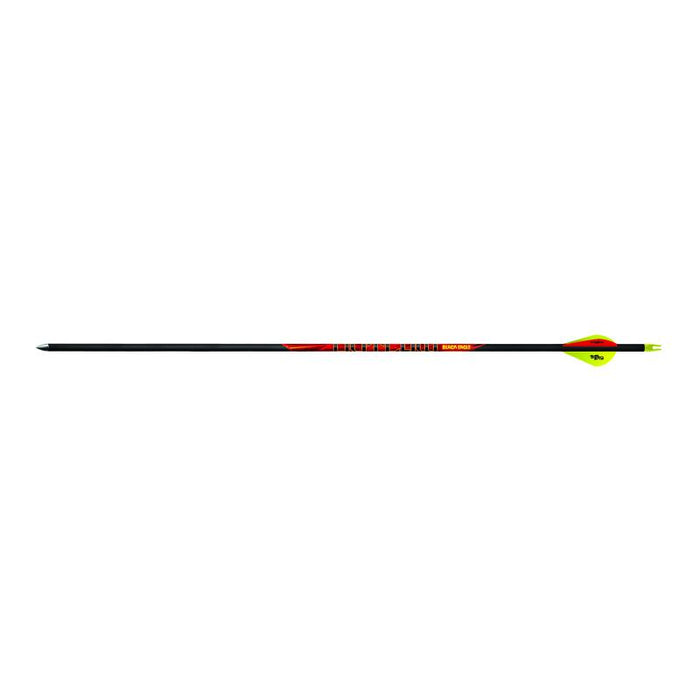 Black Eagle Carbonpfeil Outlaw Vanes ohne Cresting