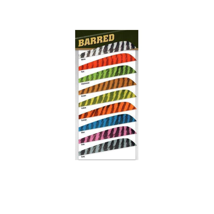 Gateway Naturfedern Barred Parabolic RW 4 zoll