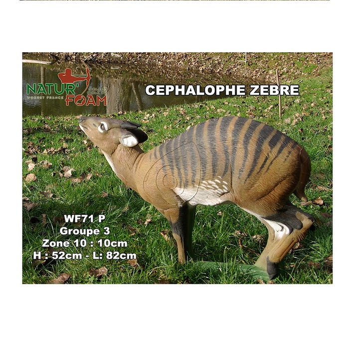 Natur Foam  Zebra Ducker