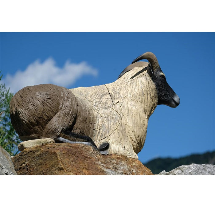 SRT Himalaya Thar liegend