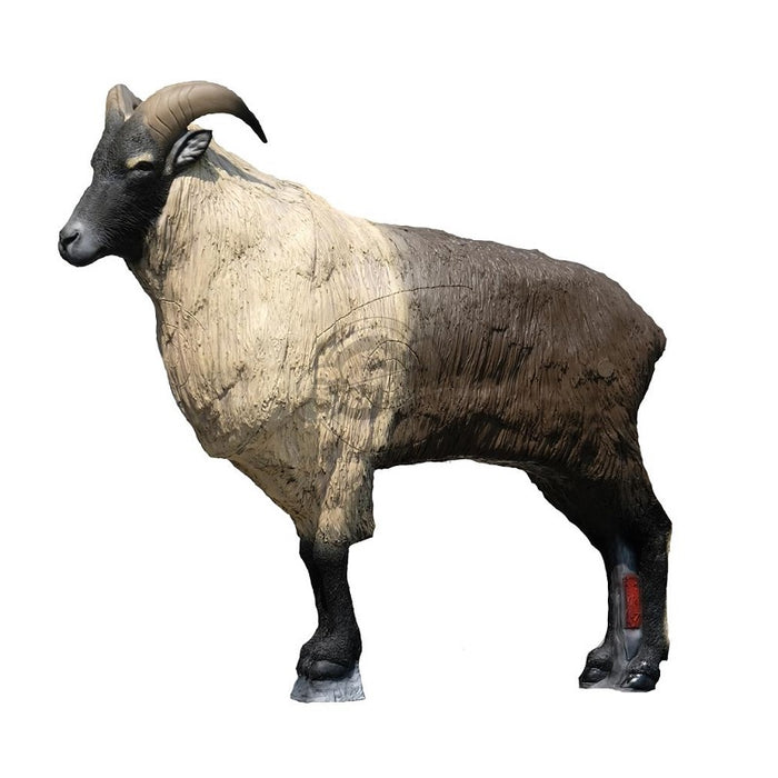 SRT Himalaya Thar stehend