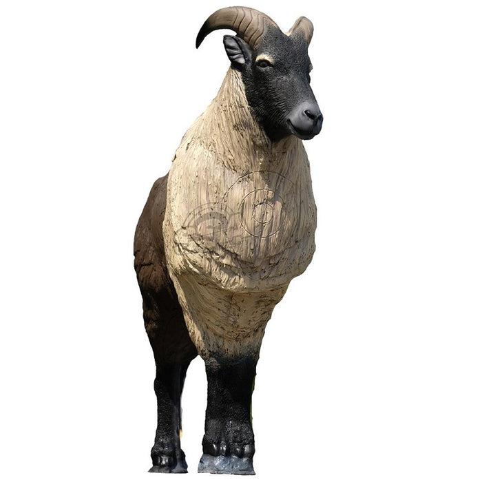 SRT Himalaya Thar stehend