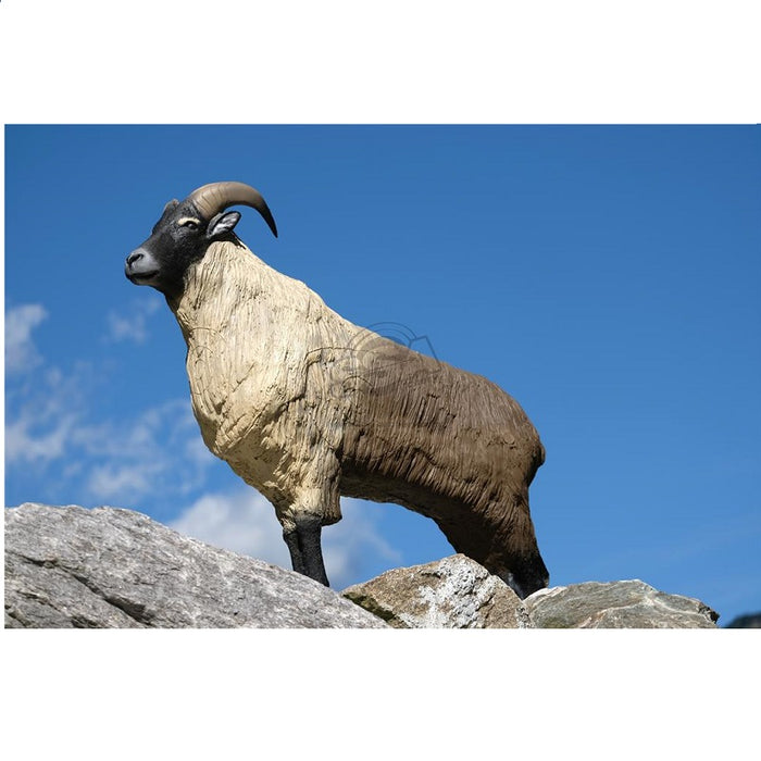 SRT Himalaya Thar stehend