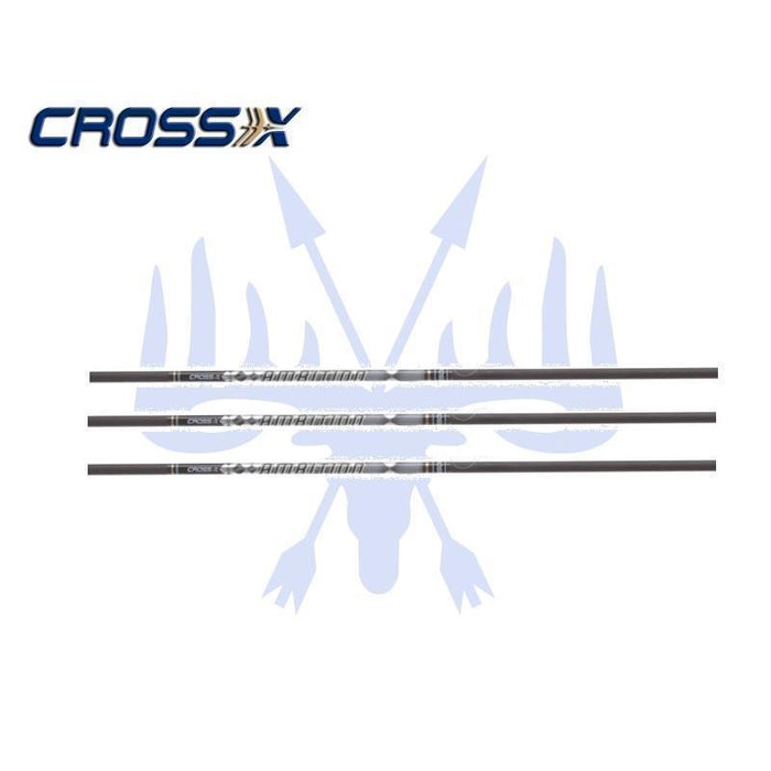 CrossX Pfeilschaft Ambition