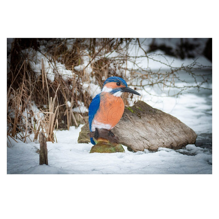 Center Point Eisvogel