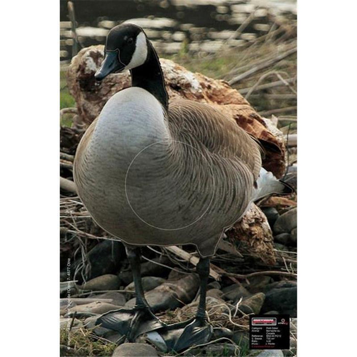 Tierscheibenauflage Maximal Gans wachsam