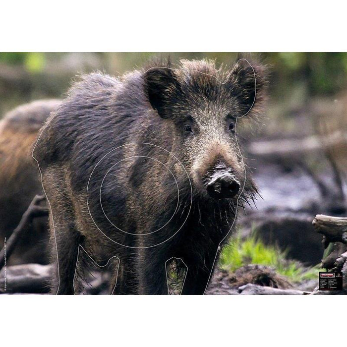 Tierscheibenauflage Maximal Wildschwein